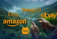 Walmart Embraces China’s E-Commerce Strategy to Compete with Amazon and Temu