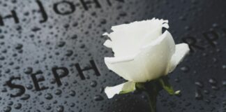 The Right to Die – How Assisted Dying is Reshaping End-of-Life Choices Worldwide